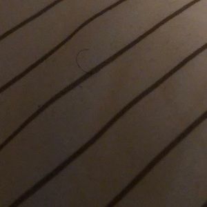 Meet your Posher, Casey